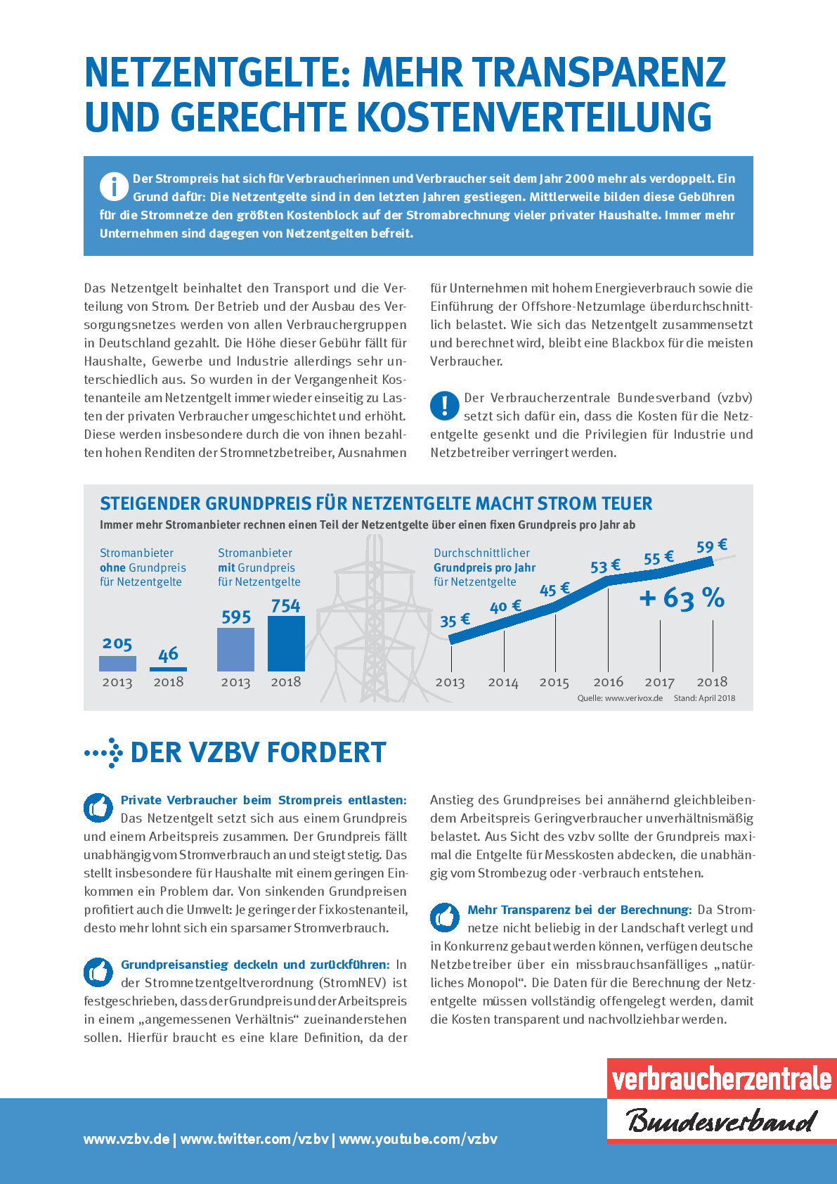 Faktenblatt Zu Netzentgelten | Verbraucherzentrale Bundesverband