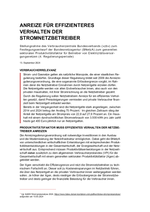 Anreize für effizienteres  Verhalten der Stromnetzbetreiber